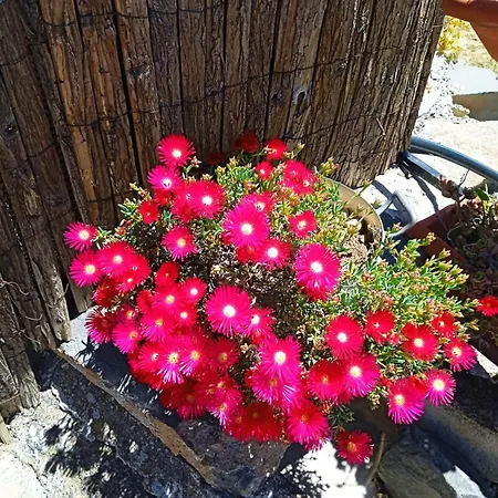 Tatil Evi Casa Cueva Gaspara *