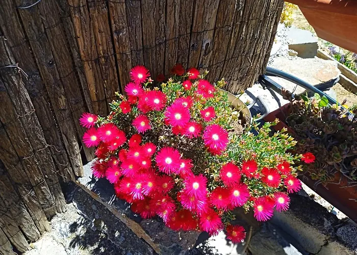 Tatil Evi Casa Cueva Gaspara *