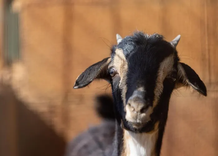 Holiday home Casa Cueva Gaspara *