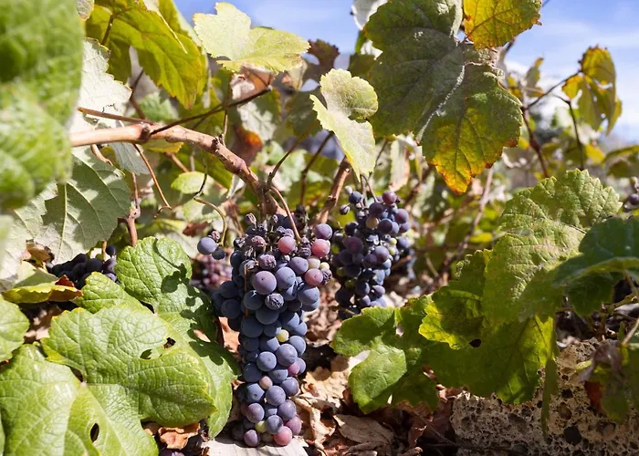 Σπίτι διακοπών Casa Cueva Gaspara Arico